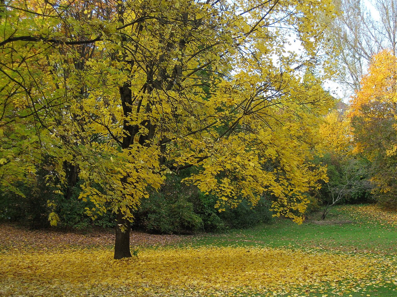 Dichtergarten / Finanzgarten